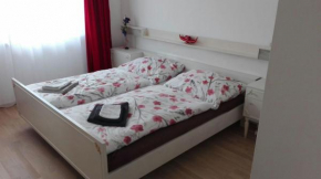 Ferienwohnung Bergwerkstraße, Schladming, Österreich